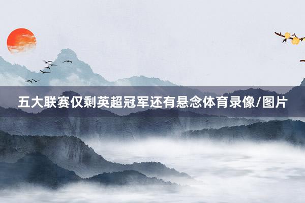 五大联赛仅剩英超冠军还有悬念体育录像/图片