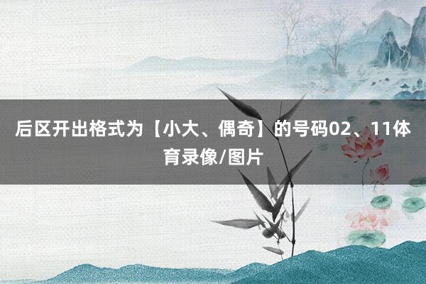 后区开出格式为【小大、偶奇】的号码02、11体育录像/图片