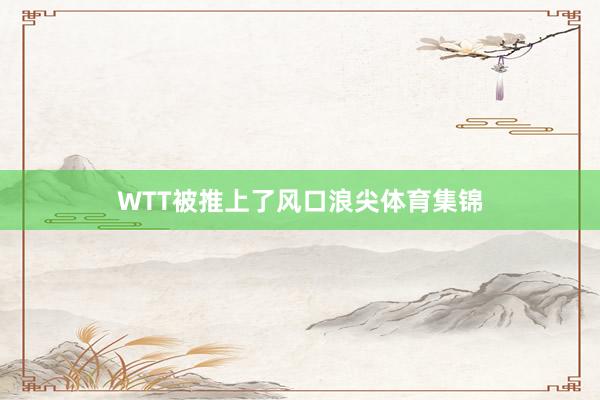 WTT被推上了风口浪尖体育集锦