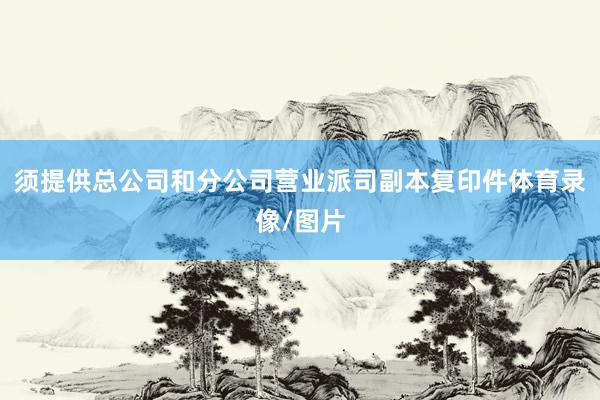 须提供总公司和分公司营业派司副本复印件体育录像/图片