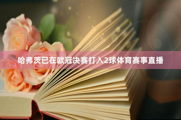 哈弗茨已在欧冠决赛打入2球体育赛事直播