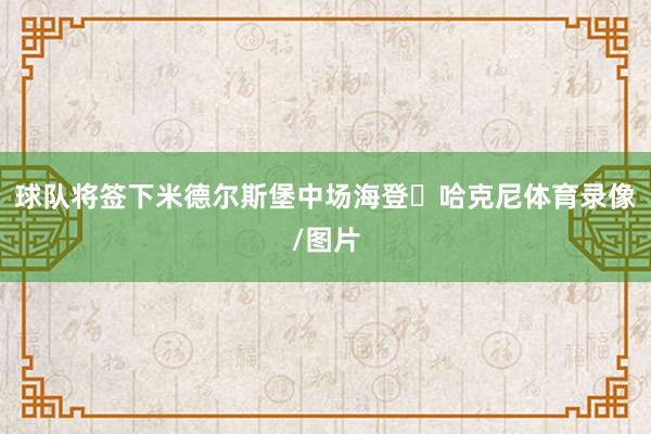 球队将签下米德尔斯堡中场海登・哈克尼体育录像/图片