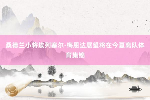 桑德兰小将埃列塞尔·梅恩达展望将在今夏离队体育集锦